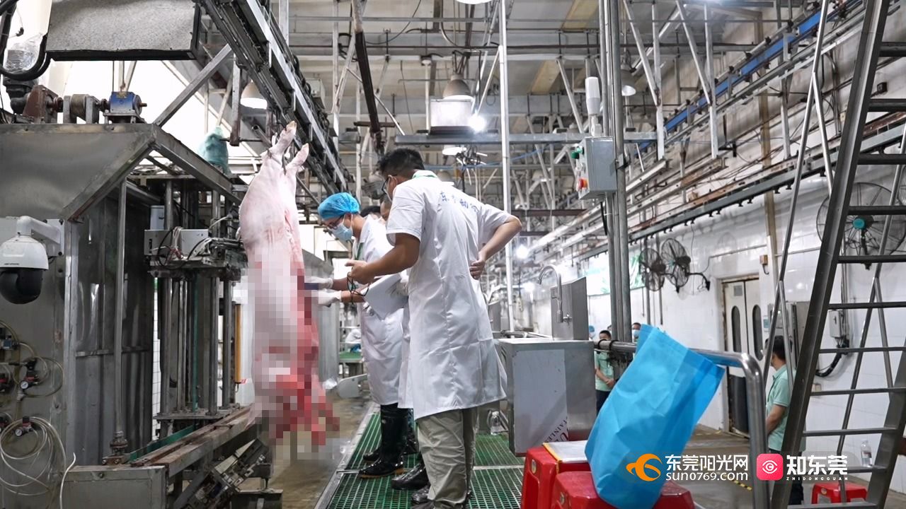 1751010155317444.jpg 东莞市动物检疫检验员职业技能竞赛.mp4_20250627_153147.652.jpg