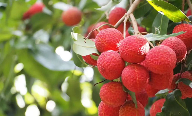 1751188843390826.jpg W020250629337453142499_副本.jpg