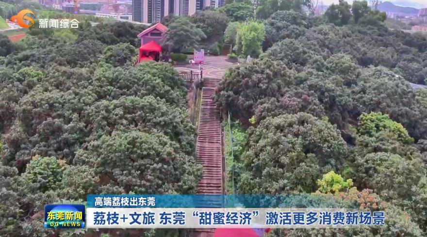 1751286109730165.jpg QQ浏览器截图20250630201547.jpg