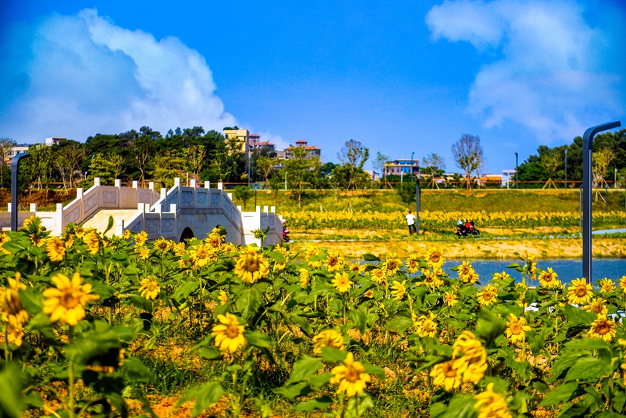 1751372828639378.jpg 微信图片_20250701201600.jpg