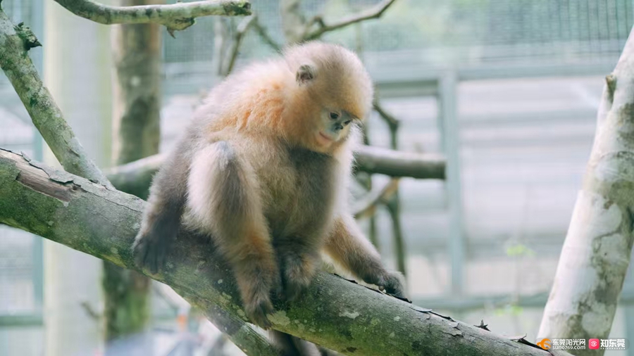 1751874833939720.jpg 6.jpg