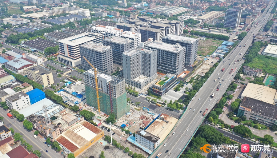 1752051092948067.jpg 5.jpg