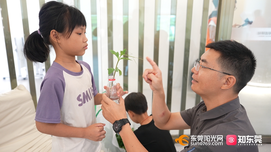 1752052958519946.jpg 8.jpg