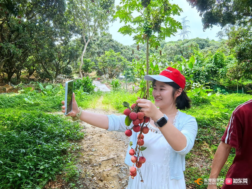 1752150286272604.jpg 微信图片_20250710202218.jpg