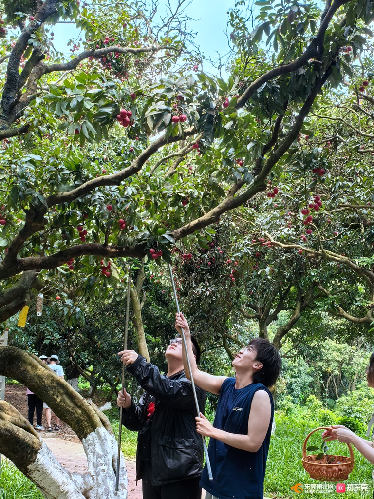 1752150278609824.jpg 微信图片_20250710202227.jpg