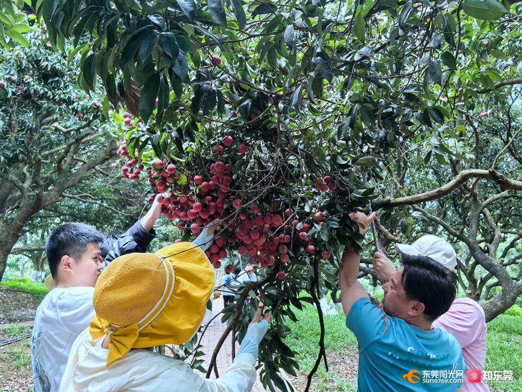 1752150303321304.jpg 微信图片_20250710202231.jpg