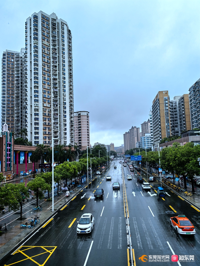 1752223729898260.jpg 1.jpg