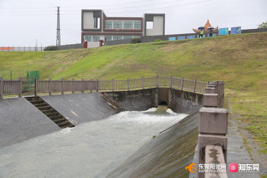 1752290330702496.jpg 3.jpg