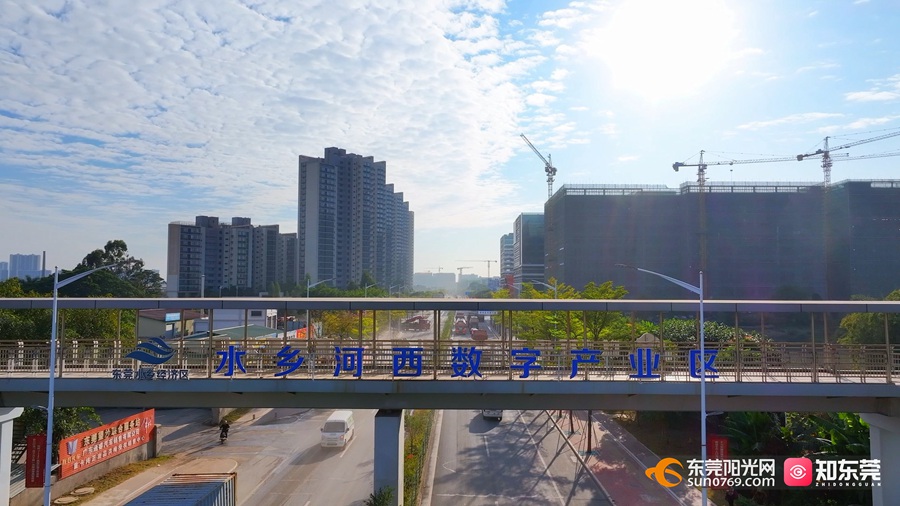 1753435566736775.jpg 7.jpg