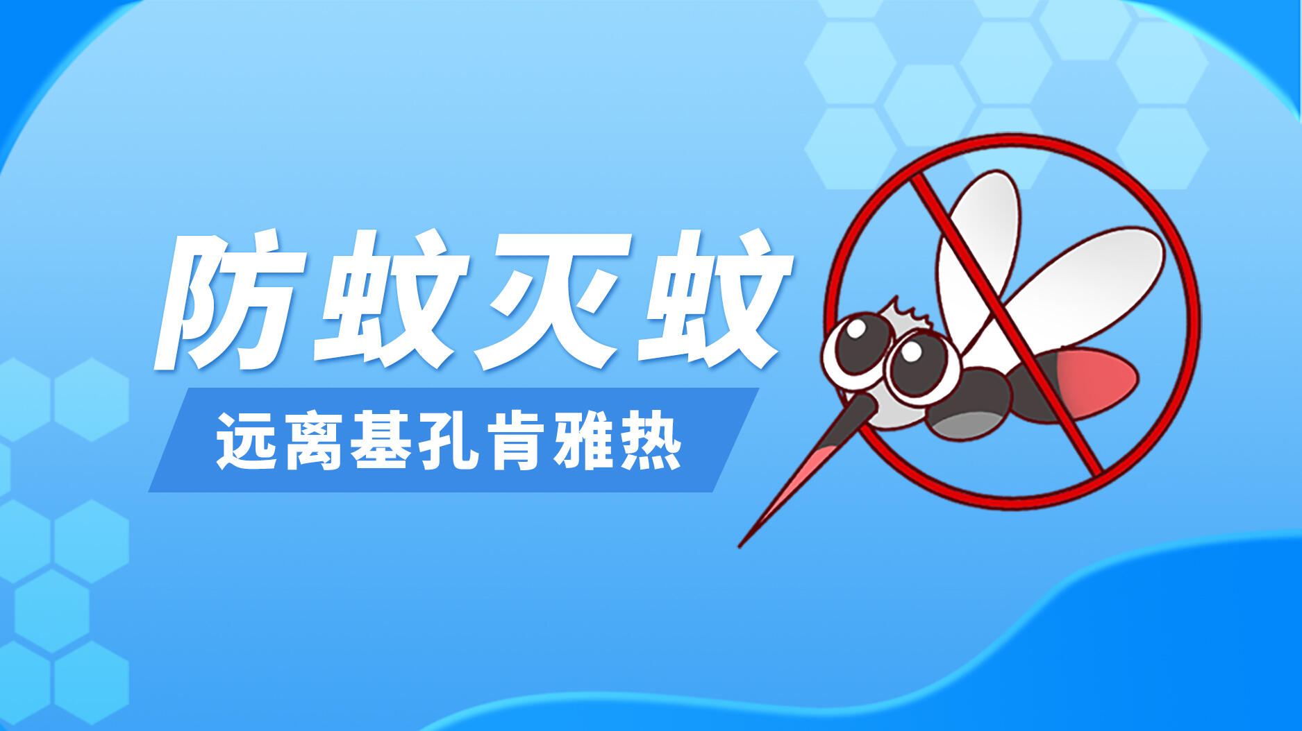 1753526174791336.jpg 1753448614736410.jpg