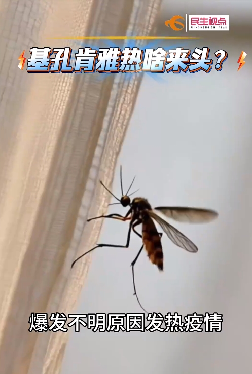 1753523890679486.jpg 截图20250726175741.jpg