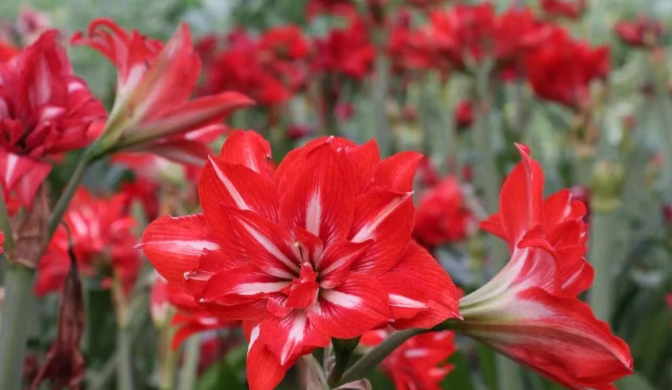 1753783403542288.png QQ20250729-180312.png