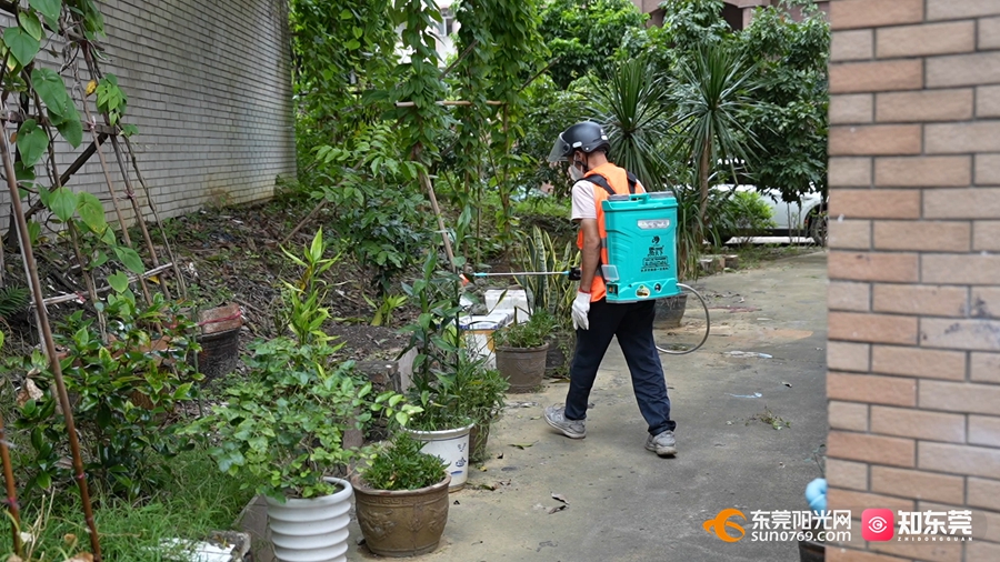 1753847312607609.jpg 2.jpg