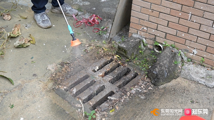 1753847335130916.jpg 6.jpg