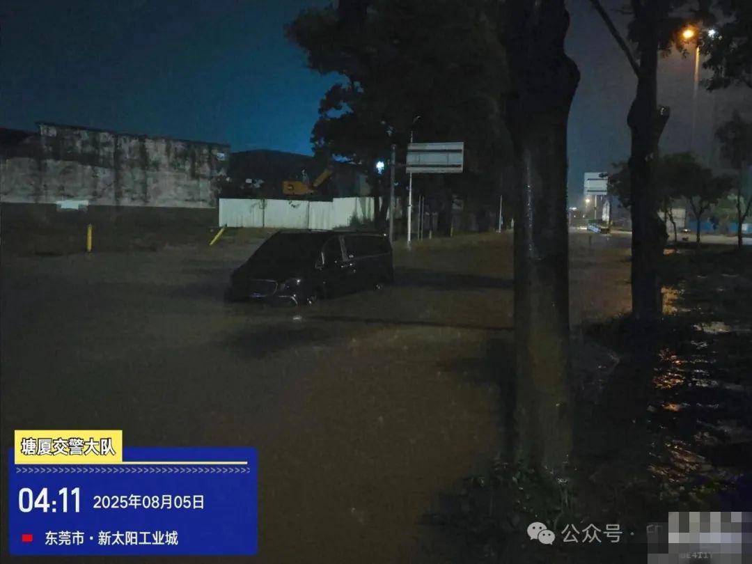 1754346029615682.jpg 640 (1).jpg