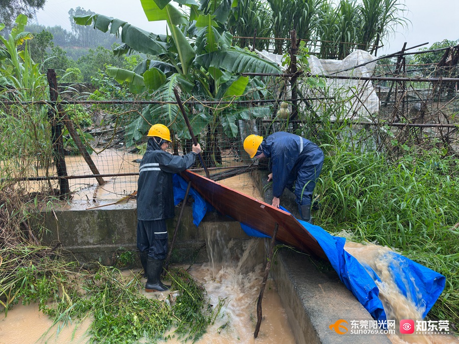 1754385149513444.jpg 东莞供电局变电站运维人员进行引流排水作业,防止雨水倒灌进站内。袁辉祥 摄.jpg