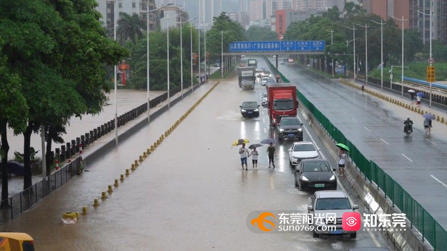 1754384113824814.jpg 水浸樟木头.mp4_20250805_163709.226.jpg