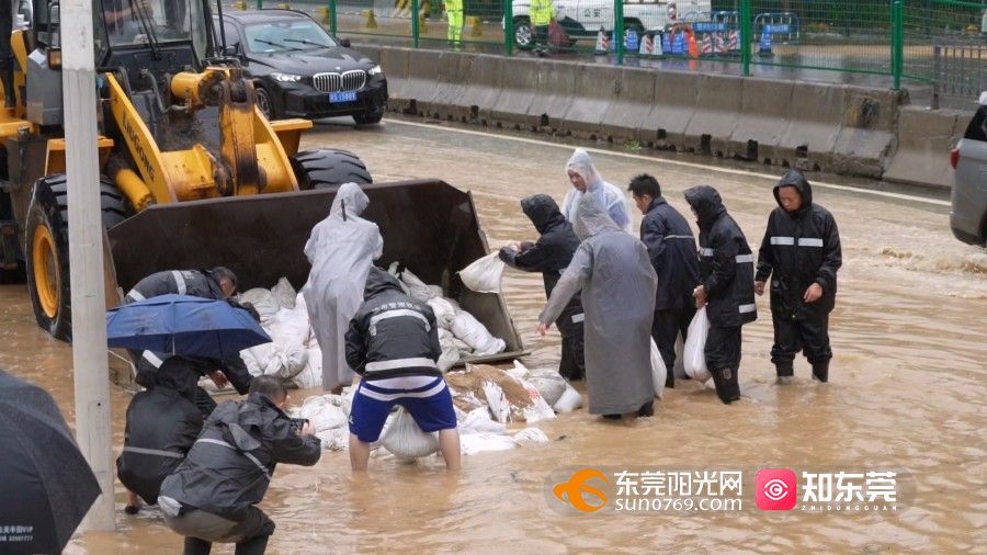 1754384140323373.jpg 水浸樟木头.mp4_20250805_163727.981.jpg