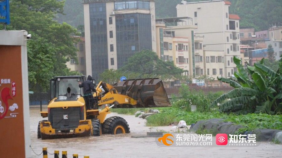 1754384155406571.jpg 水浸樟木头.mp4_20250805_163720.409.jpg