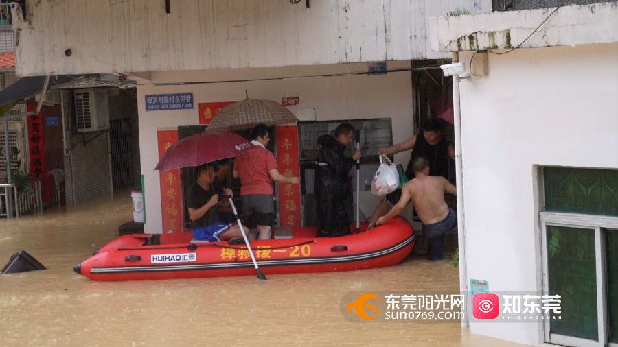 1754384171615674.jpg 水浸樟木头.mp4_20250805_163813.201.jpg