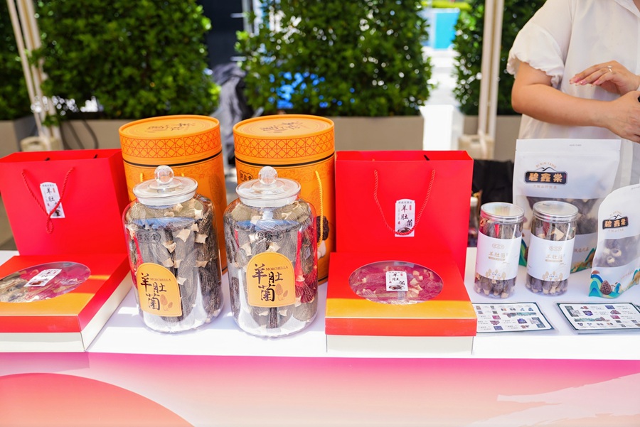 1754651261263329.jpg DSC06657-opq3887945935.jpg