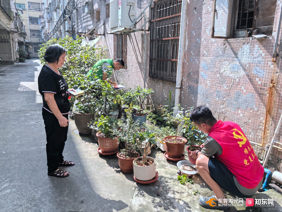 1754704694628911.jpg 202588164329.jpg