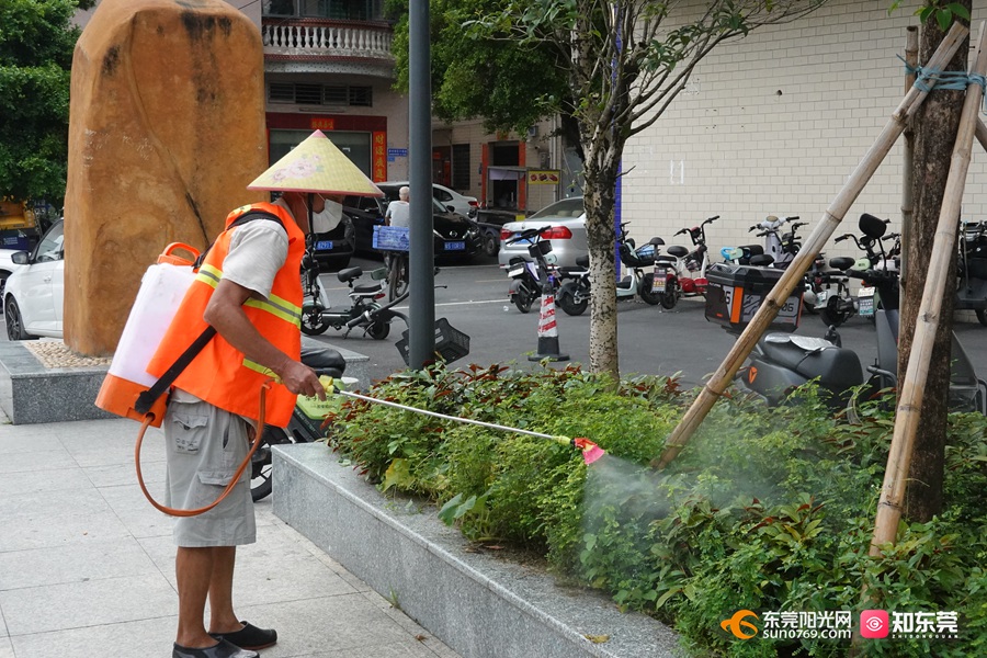 1754724057202742.jpg 20258914122.jpg