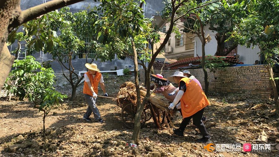 1754724255108142.jpg 4391754708849_.pic_hd.jpg