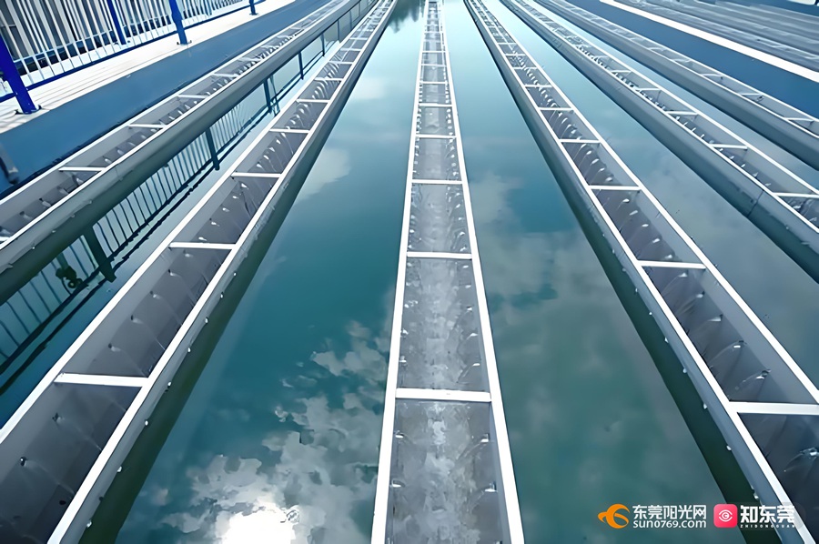 1754707883262313.jpg 微信图片_20250809104900.jpg