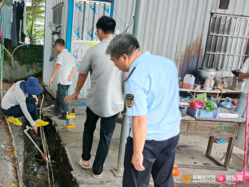 1755584119463520.jpg hongmei4.jpg