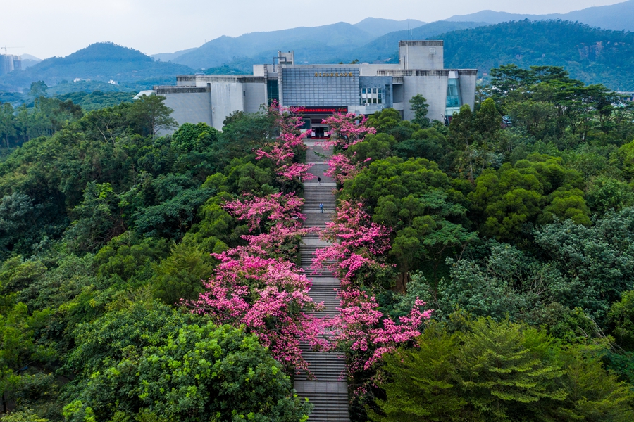 1755830630533560.jpg 01.jpg