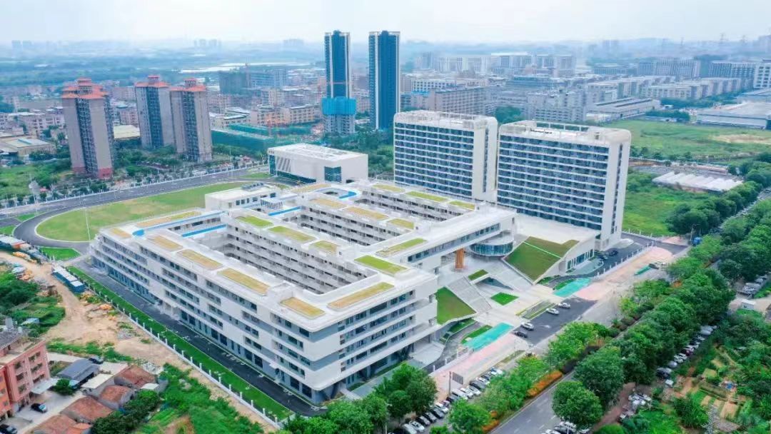 1756350168657741.jpg 1.jpg