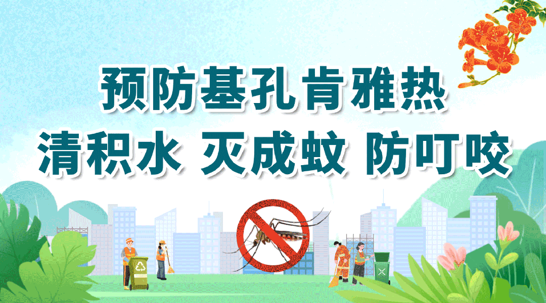 1754467420177652.gif 首图灭蚊.gif