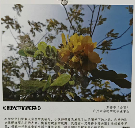 1756693006457617.png 图片 5.png