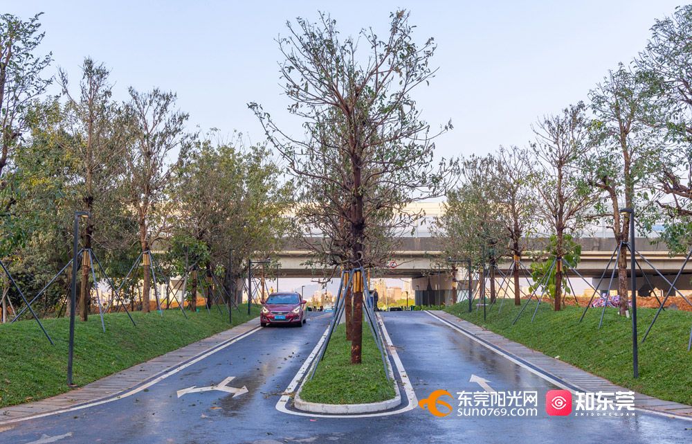 1756641083772412.jpg 1.jpg