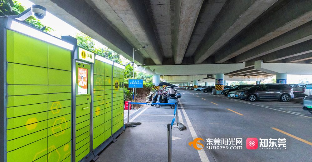 1756641190113620.jpg 4.jpg