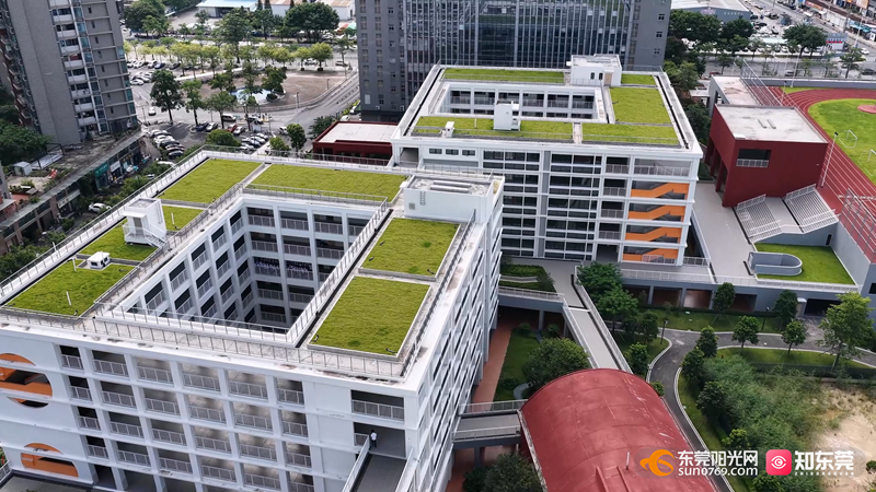 1756707240608410.jpg 龙湾中学航拍.mp4_20250901_133136.214.jpg