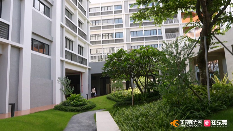 1756707286795341.jpg 万江开学.mp4_20250901_132942.854.jpg