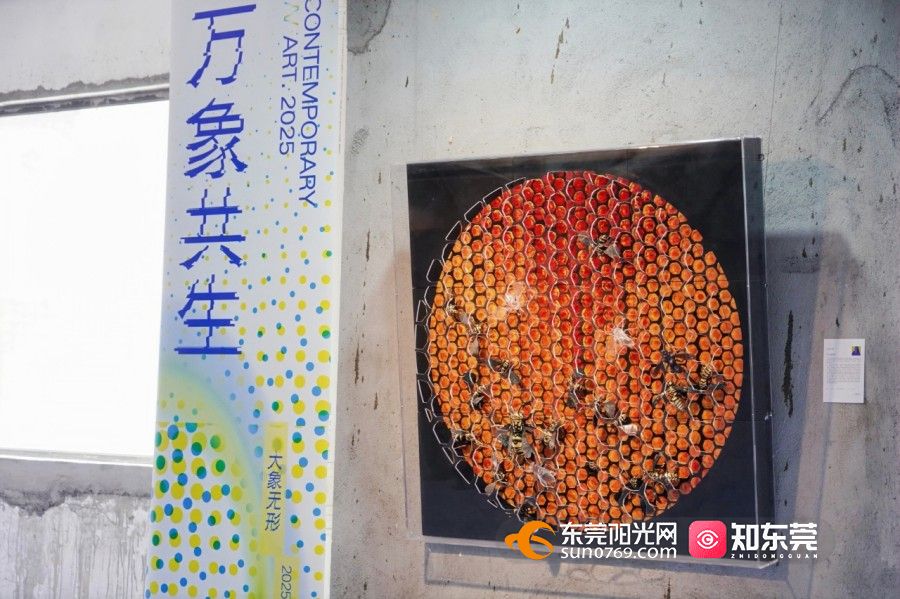 1758095929447500.jpg 微信图片_20250917151102_146_1115.jpg