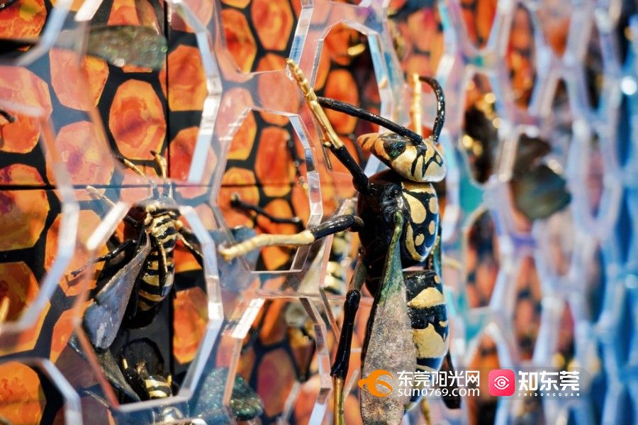 1758095869621344.jpg 微信图片_20250917151109_148_1115.jpg