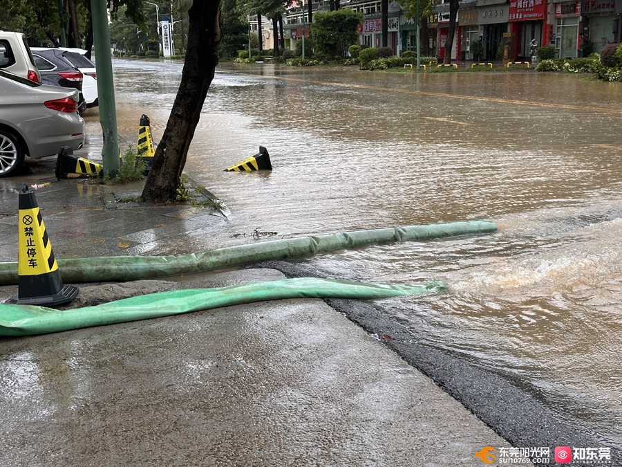 1758697435281025.jpg 1.jpg