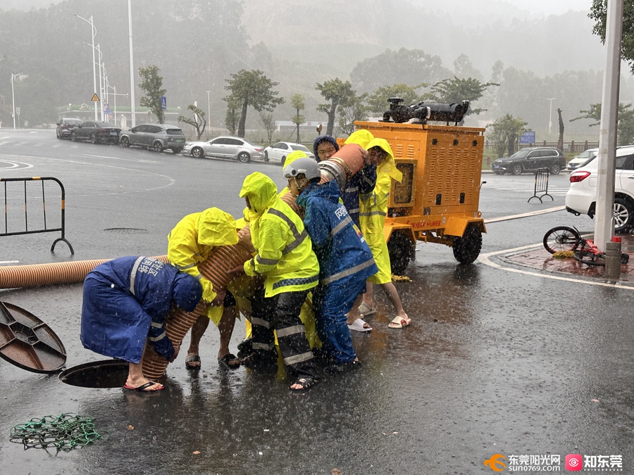 1758697496754898.jpg 3.jpg