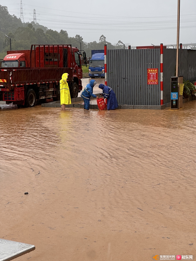 1758697530929354.jpg 2.jpg