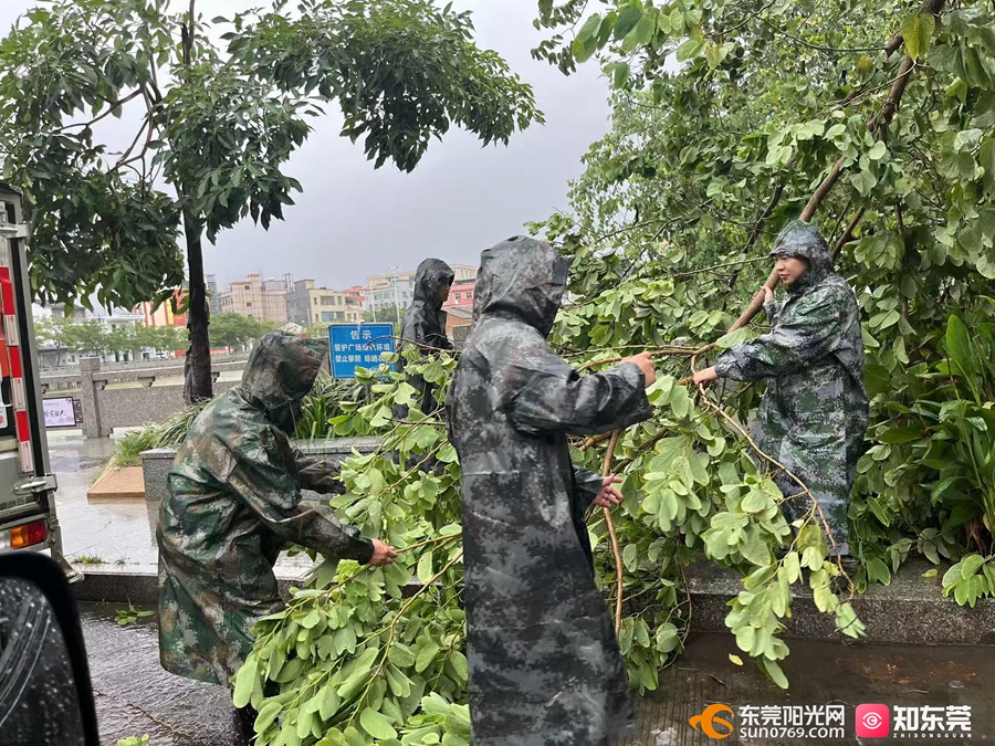 1758675684732757.jpg 1.jpg