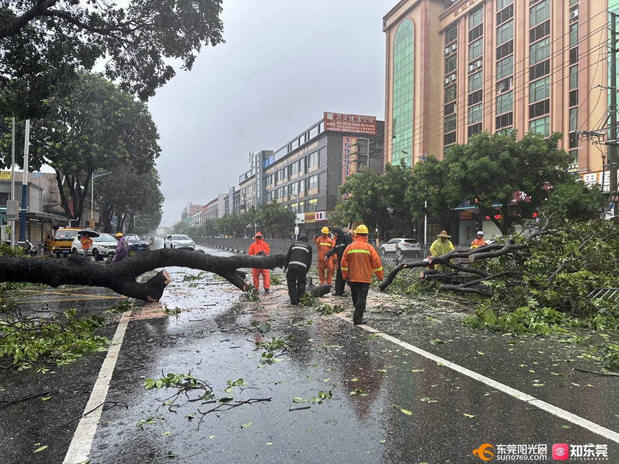 1758695571564519.jpg 1.jpg