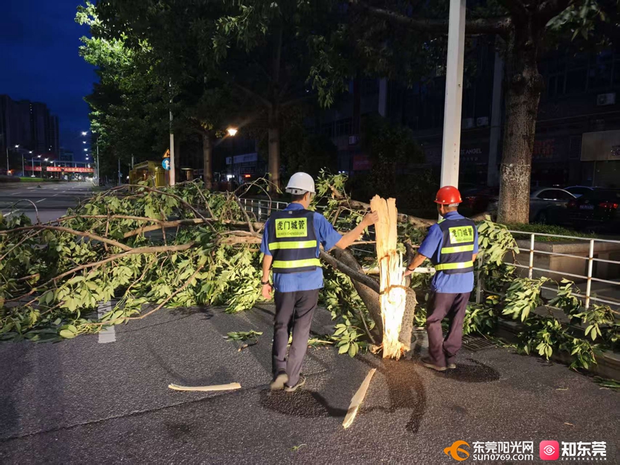 1758676589639739.jpg 1.jpg