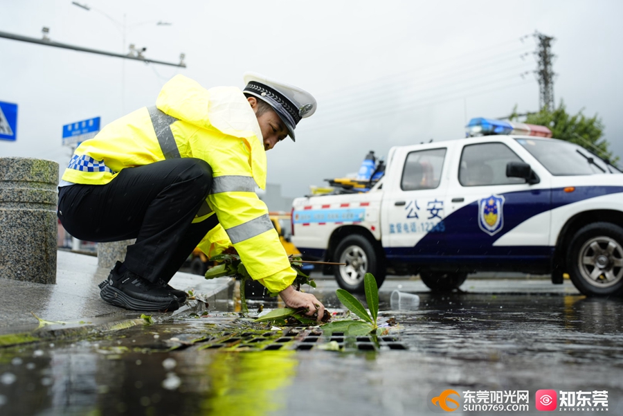 1758685291496009.jpg 2.jpg