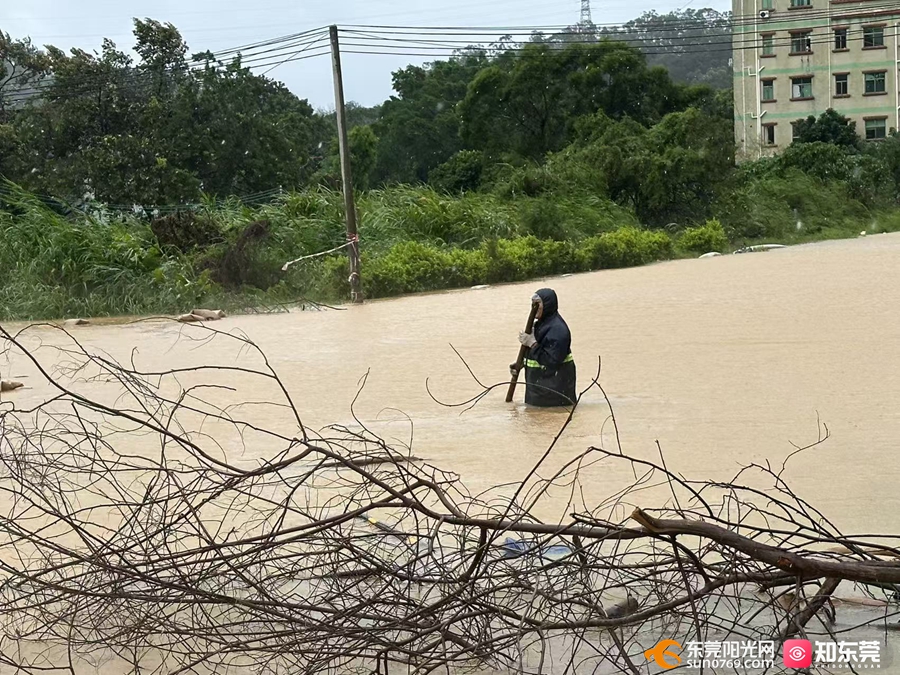 1758689824157150.jpg 1.jpg