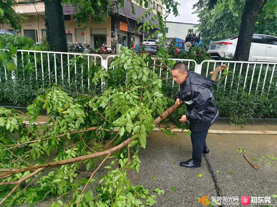 1758689841301095.jpg 2.jpg