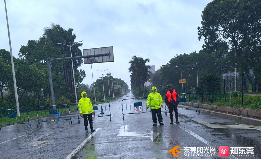 1758700392137264.jpg 1.jpg